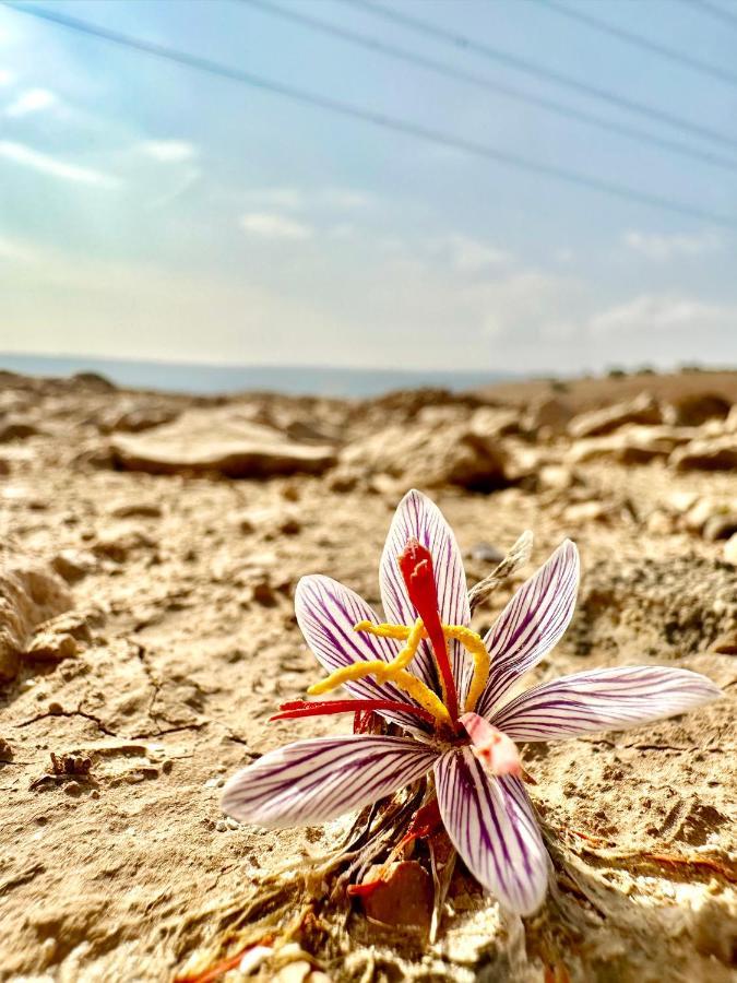 Hotel Wadi Al-Wala View Camp Madaba Esterno foto